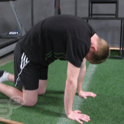 <div>
<p>Pre-Season fitness training with&nbsp;IronMate/Mark Kleanthous.<br /><span class="161301103-25012012">F</span>ocusing on neutral spine posture for improved sporting performance.</p>
<p>Photos courtesy of&nbsp;<strong>&copy;Ironmate/Mark Kleanthous</strong></p>
</div>