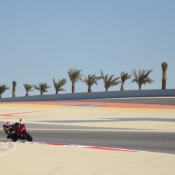 <p>Various images of Bradley advising local riders&nbsp;<span>at the Bahrain International Circuit where he has been riding a specially prepared Yamaha R1 road bike by Pete Beale Racing.</span></p>
<p>Photos courtesy of&nbsp;<strong>&copy;Julia Oakley </strong>and<strong>&nbsp;<strong>&copy;</strong><span>Yusuf Mohammed</span></strong></p>