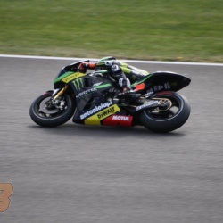 <p>Images taken by you, the fans!
	<br><span>Please email any photos you've taken of Bradley to&nbsp;</span><a href="mailto:contact@bradleysmith38.com">contact@bradleysmith38.com</a></p>