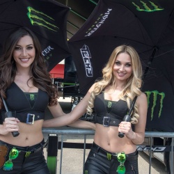 <p>​Photos courtesy of <strong>©Monster Yamaha Tech 3</strong></p>