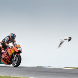 <p>Photos courtesy of<span>&nbsp;</span><strong>Red Bull KTM Factory Racing -&nbsp;</strong><strong>©Marco Campelli</strong></p>