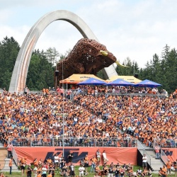 <p>Photos courtesy of<span>&nbsp;</span><strong>Red Bull KTM Factory Racing -&nbsp;</strong><strong>©Gold and Goose / ©Philip Platzer</strong></p>