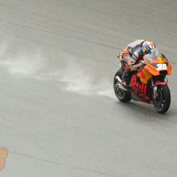 <p>Images taken by you, the fans!
	<br>Please email any photos you've taken of Bradley to <a href="mailto:contact@bradleysmith38.com">contact@bradleysmith38.com</a>
	<br>
	<br>Photos courtesy of<strong>&nbsp;</strong><strong>©David Axtell, <strong>©</strong>Saki<span>&nbsp;</span>Nagano, <strong>©</strong>VI Chuili</strong>
</p>