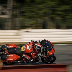 <p>Photos courtesy of<span>&nbsp;<strong><strong><strong>©Josh Kurpius / @kurpius</strong></strong></strong></span></p>