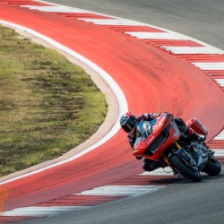 <p>Photos courtesy of<span>&nbsp;<strong><strong><strong>©Josh Kurpius / @kurpius</strong></strong></strong></span></p>