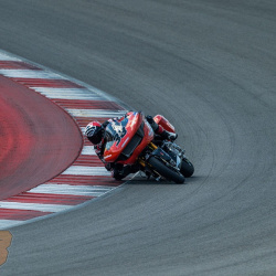 <p>Photos courtesy of<span>&nbsp;<strong><strong><strong>©Josh Kurpius / @kurpius</strong></strong></strong></span></p>
