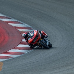 <p>Photos courtesy of<span>&nbsp;<strong><strong><strong>©Josh Kurpius / @kurpius</strong></strong></strong></span></p>