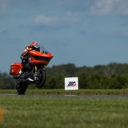 <p>Photos courtesy of<span>&nbsp;<strong><strong><strong>©Josh Kurpius / @kurpius</strong></strong></strong></span></p>